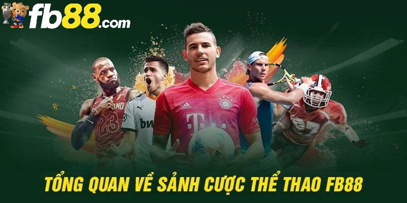 Thể Thao FB88 9 Tổng quan trang thể thao FB88