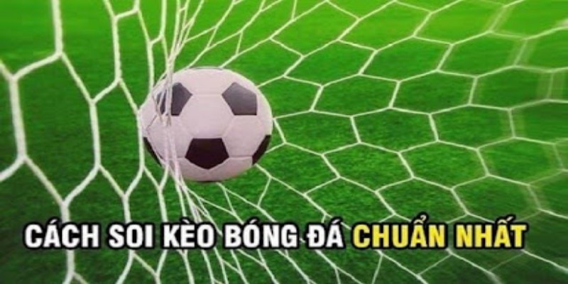 Soi Kèo Tây Ban Nha - Hướng Dẫn Phân Tích Chính Xác Nhất 3 Mẹo soi kèo Tây Ban Nha tăng chính xác