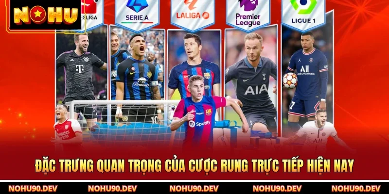 Đặc trưng quan trọng của cược rung trực tiếp hiện nay